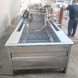 【果蔬清洗線、水產(chǎn)品清洗設(shè)備、土豆清洗設(shè)備、大棗清洗設(shè)備】- 